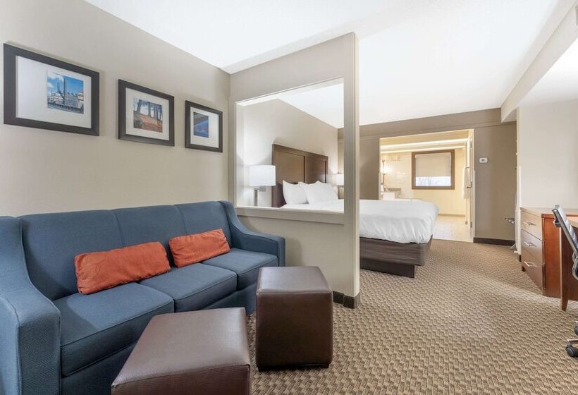 Otel Comfort Inn & Suites