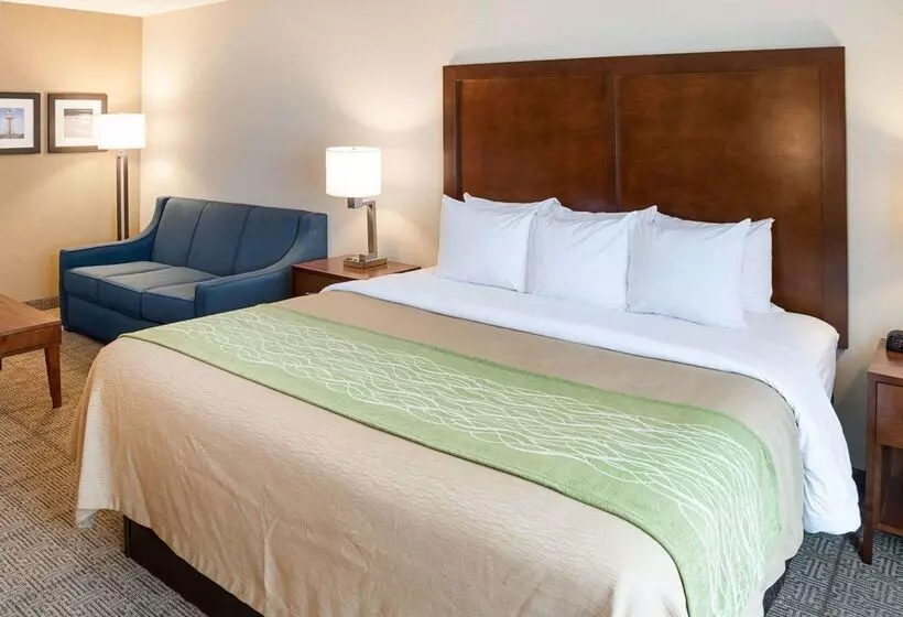 호텔 Comfort Inn West