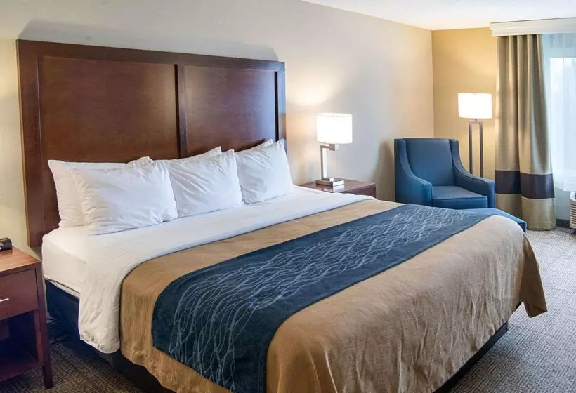 호텔 Comfort Inn West