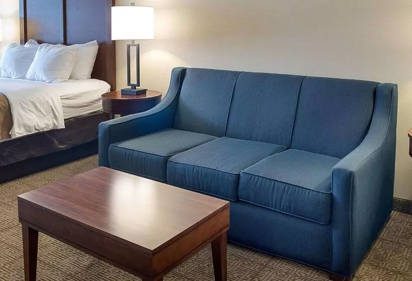 호텔 Comfort Inn West