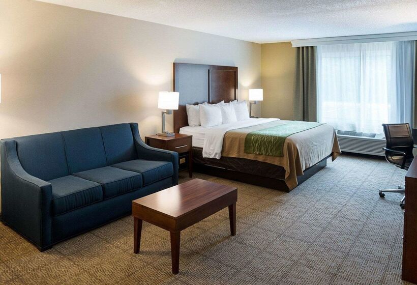 Otel Comfort Inn West