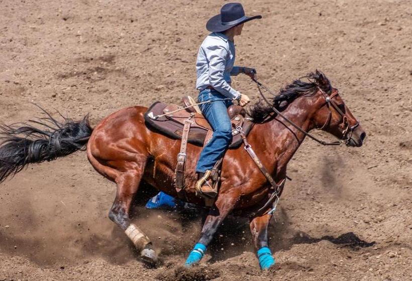 فندق Mayfair Inn