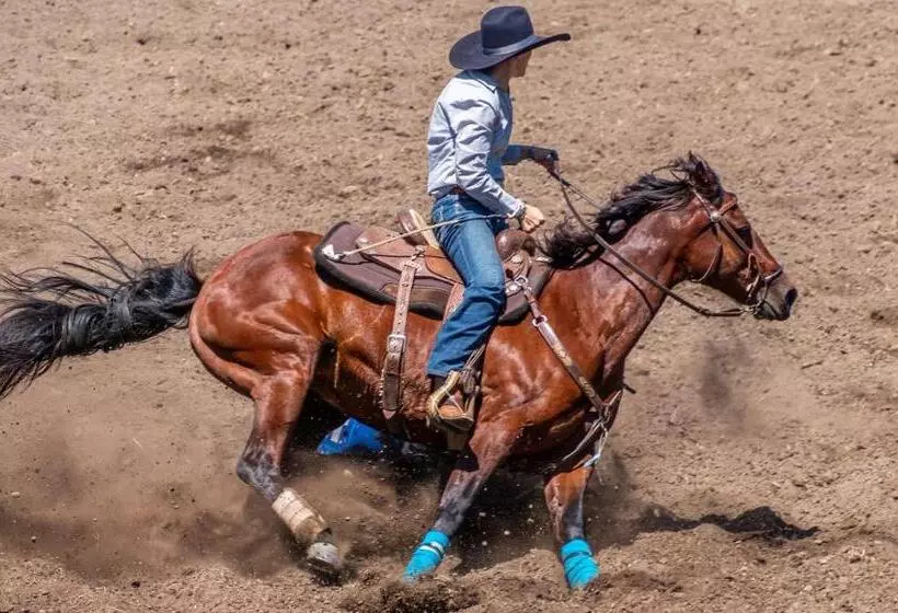 ホテル Mayfair Inn