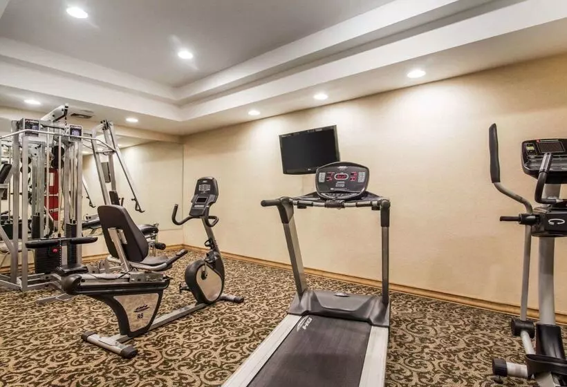 Отель Quality Inn