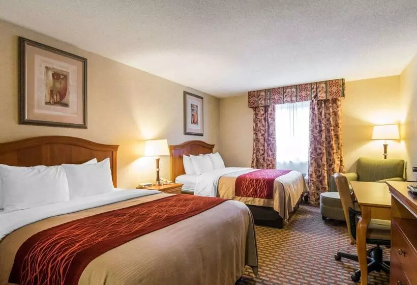 Отель Quality Inn