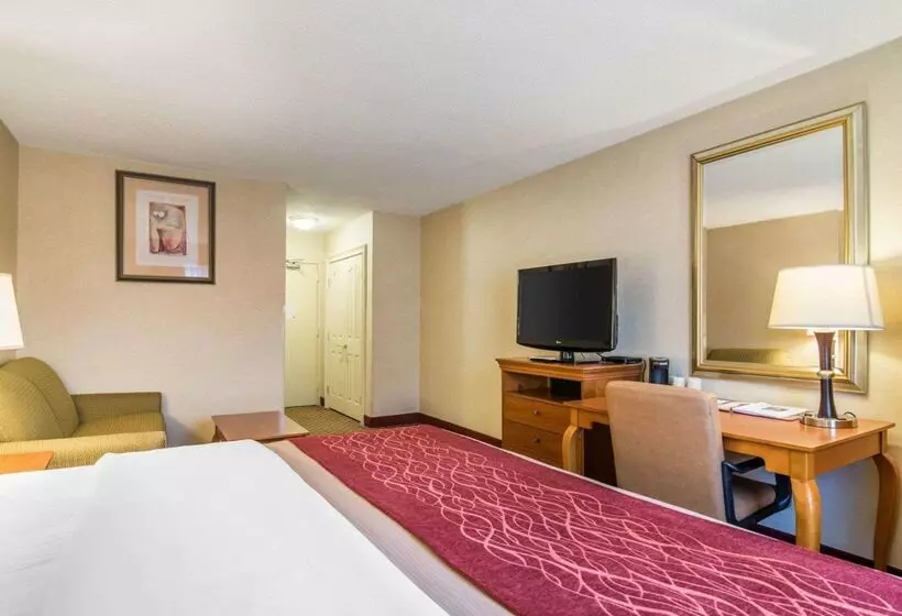 Отель Quality Inn