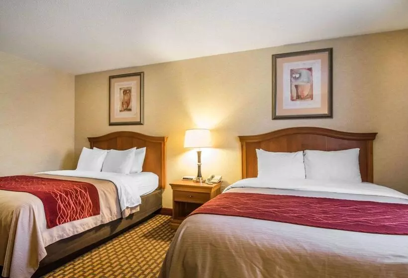 Отель Quality Inn