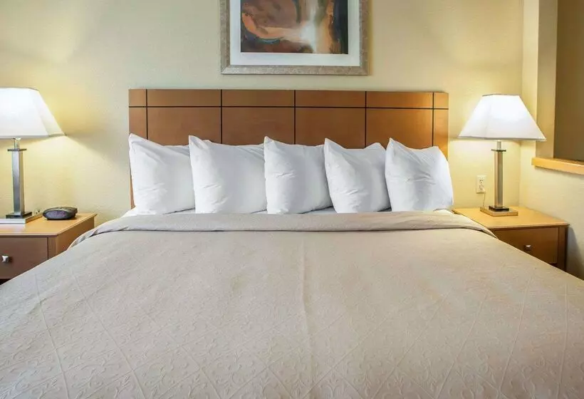 酒店 Quality Inn Near I72 And Hwy 51