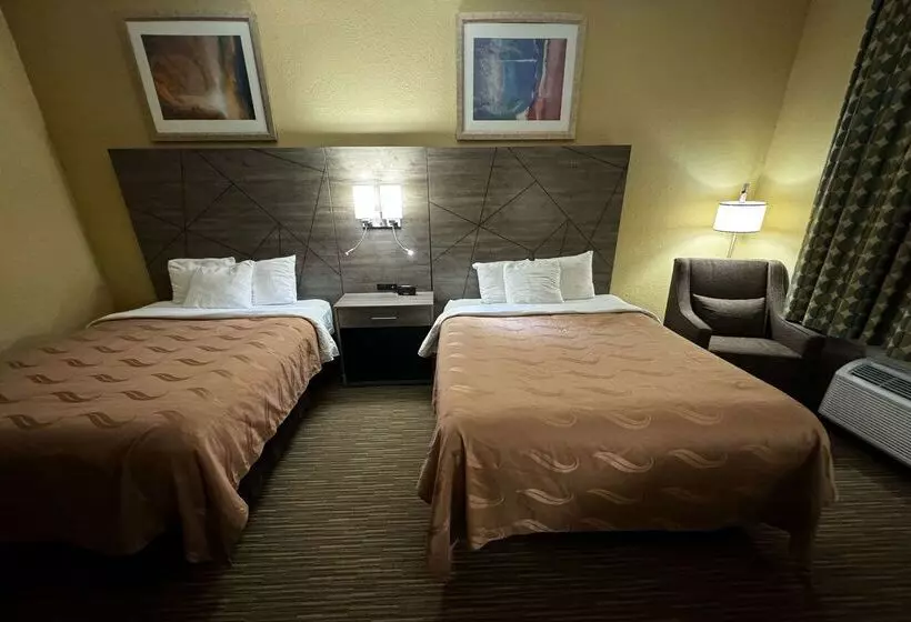 酒店 Quality Inn Near I72 And Hwy 51
