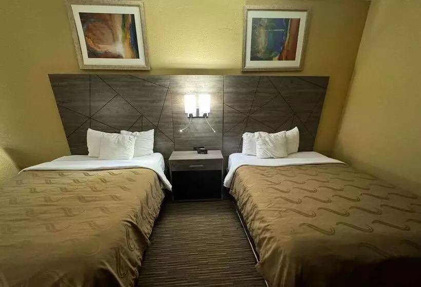 酒店 Quality Inn Near I72 And Hwy 51