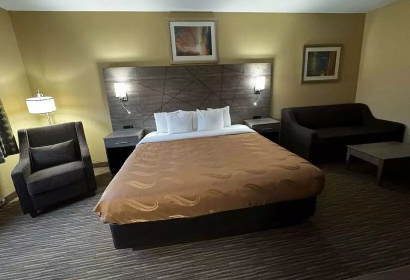 酒店 Quality Inn Near I72 And Hwy 51