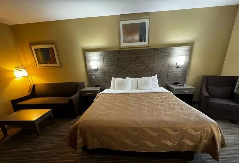 酒店 Quality Inn Near I72 And Hwy 51