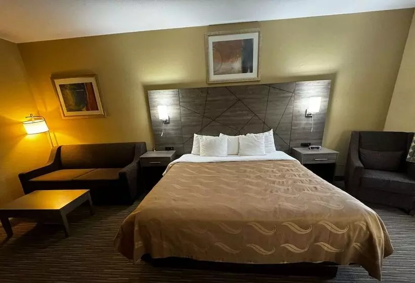 酒店 Quality Inn Near I72 And Hwy 51
