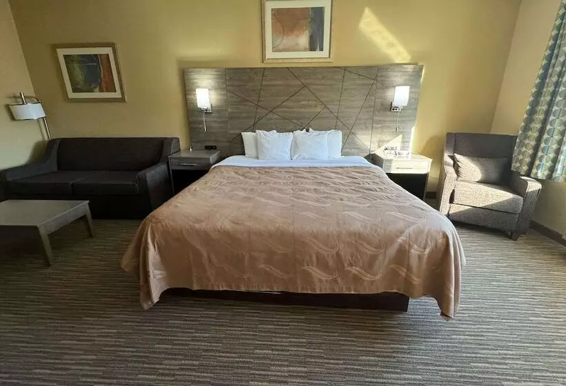 酒店 Quality Inn Near I72 And Hwy 51