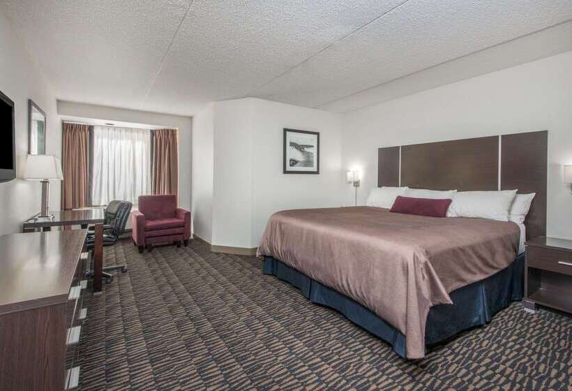 בית מלון כפרי Ramada Plaza By Wyndham Niagara Falls