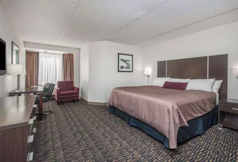 Hotel Ramada Plaza By Wyndham Niagara Falls