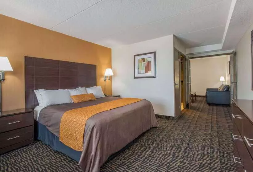 Hotel Ramada Plaza By Wyndham Niagara Falls