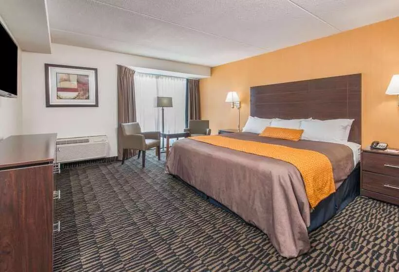 Hotel Ramada Plaza By Wyndham Niagara Falls