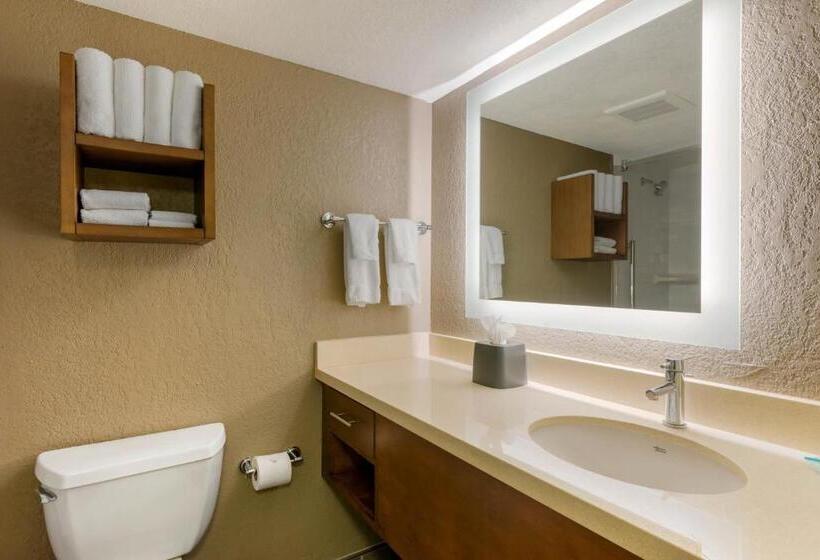 Hotel Staybridge Suites Orlando Royale Parc Suites, An Ihg