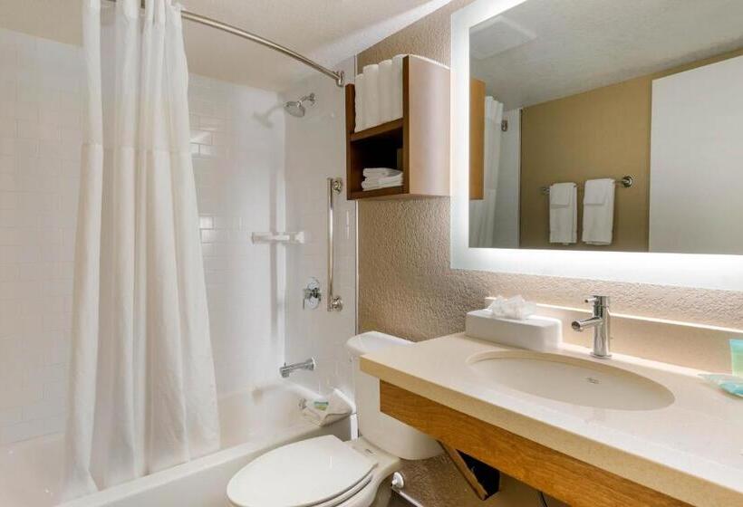 Hotel Staybridge Suites Orlando Royale Parc Suites, An Ihg