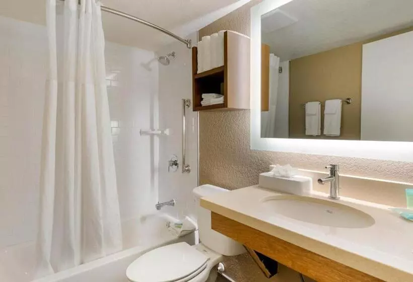 호텔 Staybridge Suites Orlando Royale Parc Suites, An Ihg