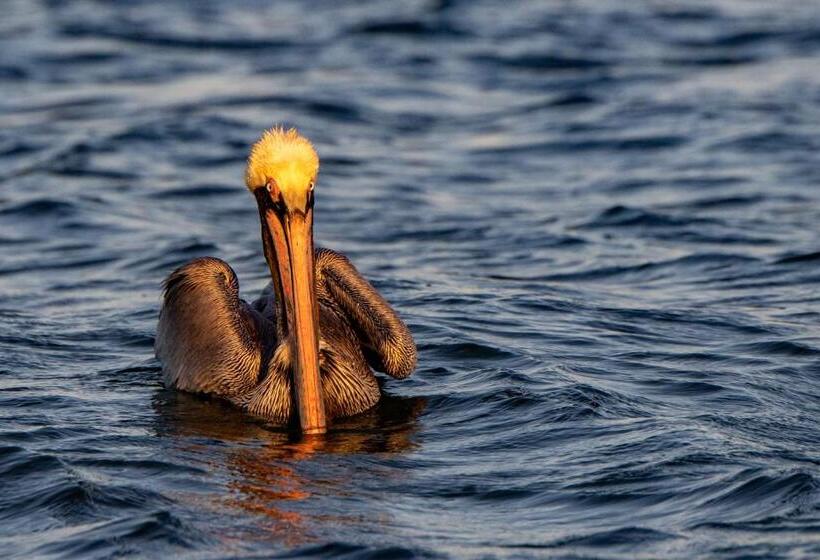 מוטל Marina Inn & Suites Chalmettenew Orleans