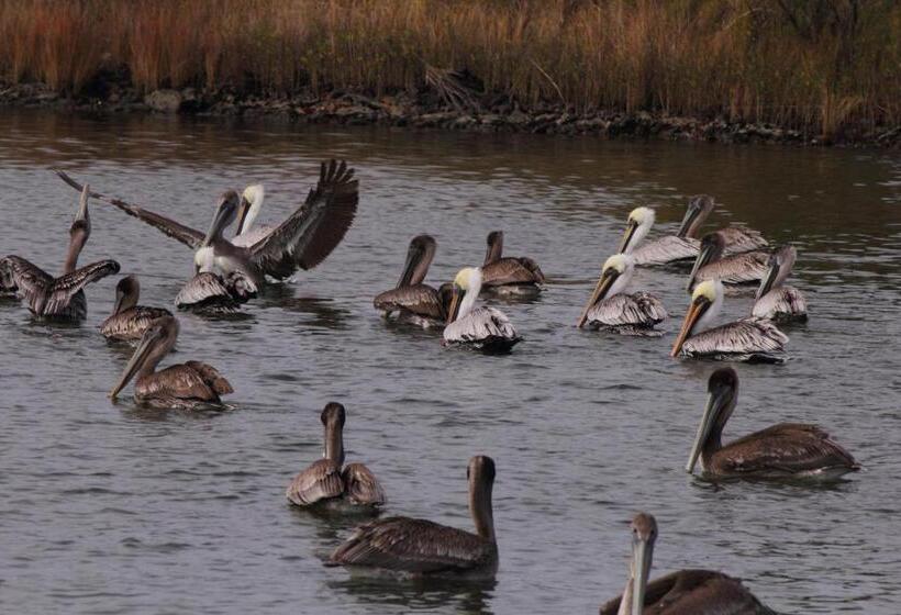 מוטל Marina Inn & Suites Chalmettenew Orleans