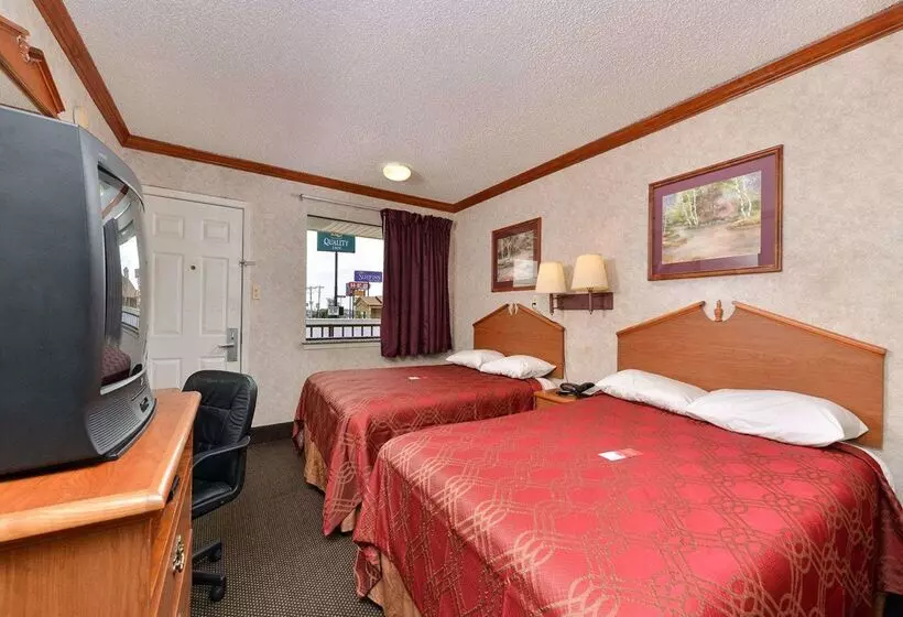 모텔 Super 8 Killeen Tx