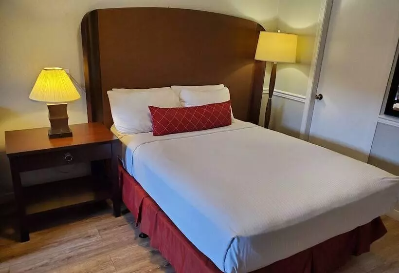 هتل Alpine Inn Abbotsford