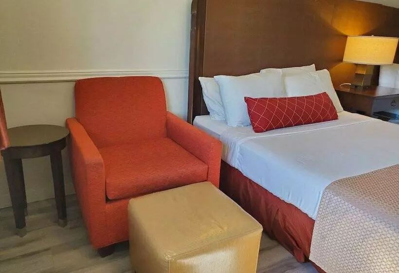 هتل Alpine Inn Abbotsford