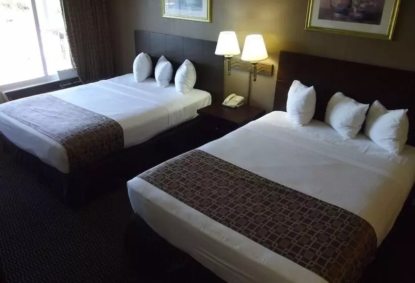 Отель Ambassadors Inn & Suites