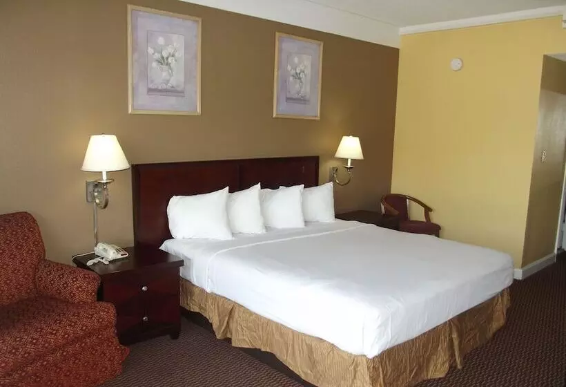 Отель Ambassadors Inn & Suites