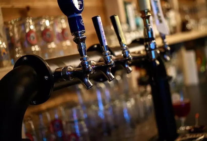 酒店 Auberge De Jeunesse Le Camp De Base