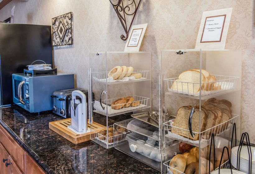 בית מלון כפרי Econo Lodge Wexford