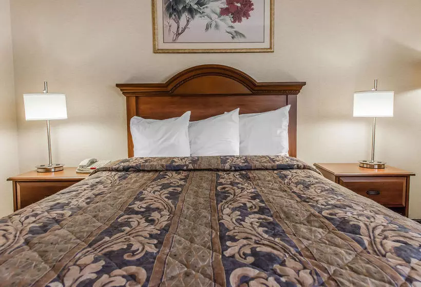 酒店 Econo Lodge Wexford