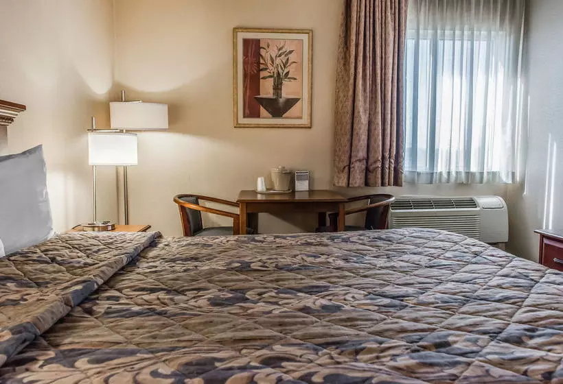 酒店 Econo Lodge Wexford