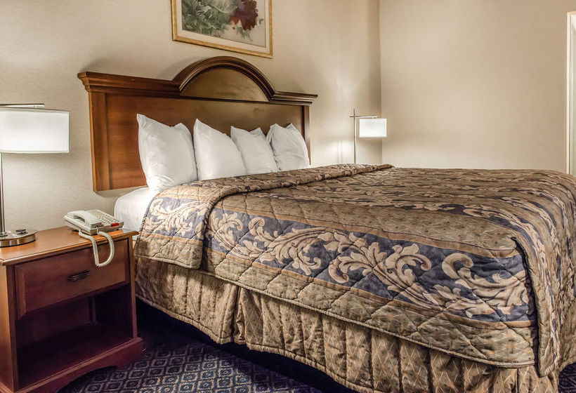 בית מלון כפרי Econo Lodge Wexford