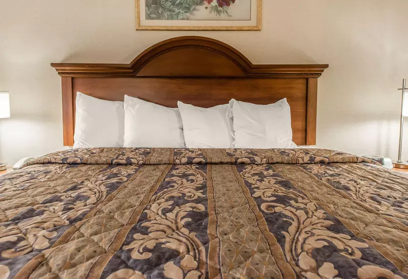 酒店 Econo Lodge Wexford