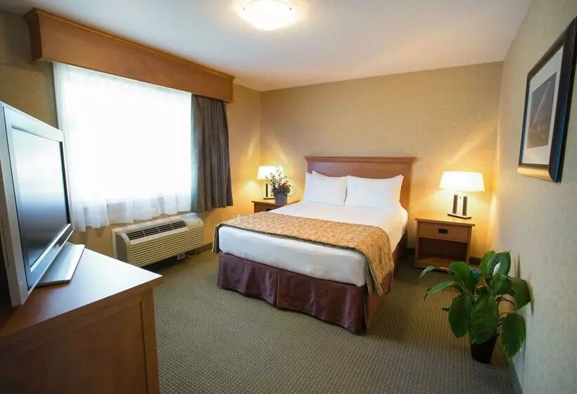 酒店 Best Western Sicamous Inn