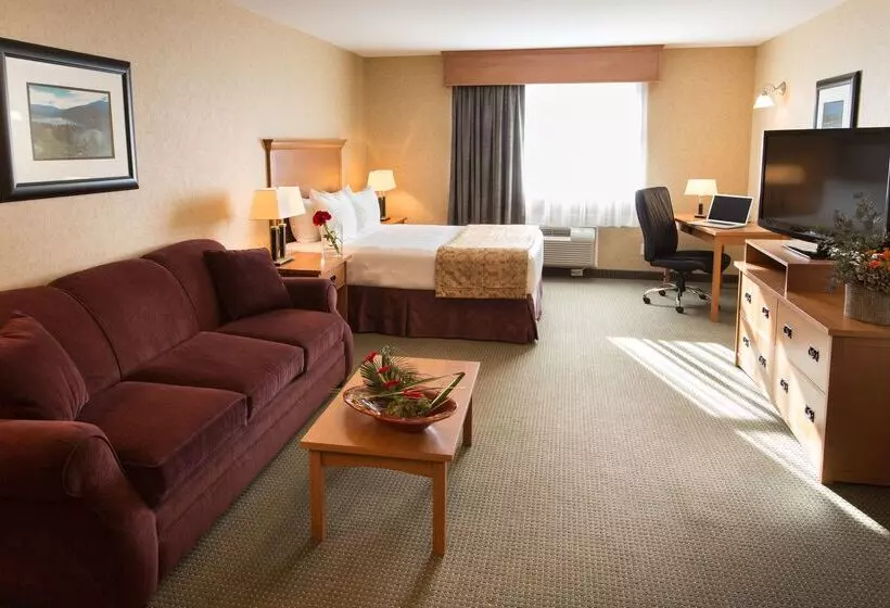 酒店 Best Western Sicamous Inn