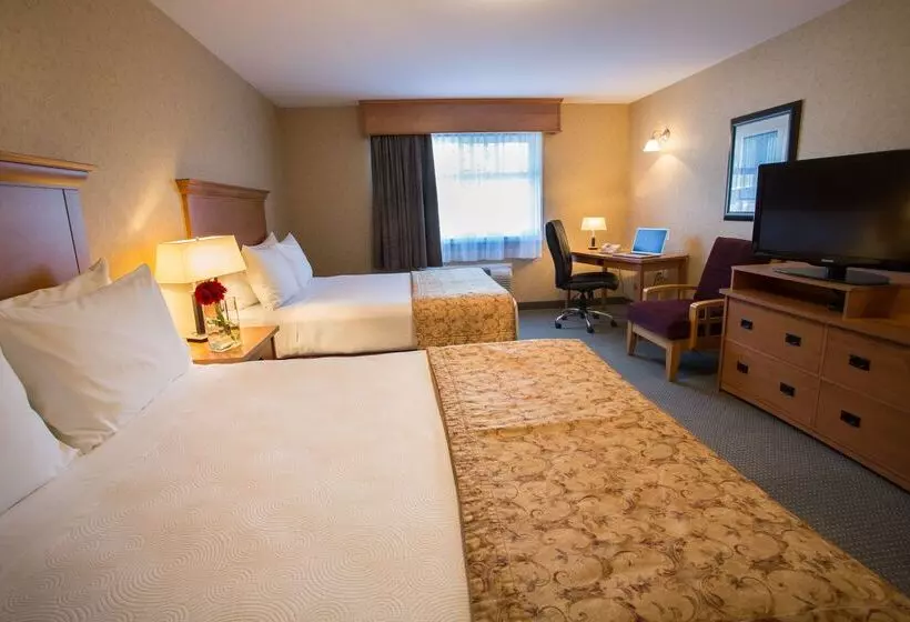 酒店 Best Western Sicamous Inn