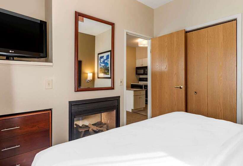 酒店 Comfort Inn & Suites