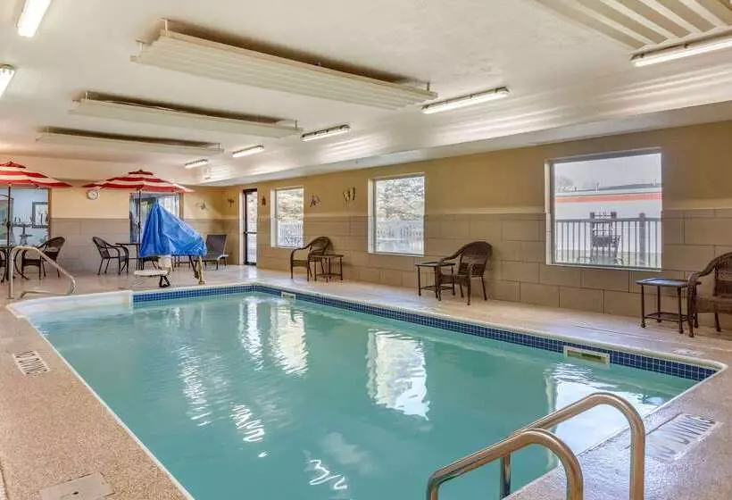 ホテル Comfort Inn & Suites