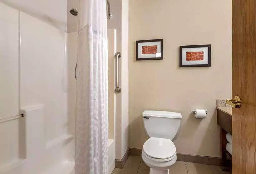 ホテル Comfort Inn & Suites