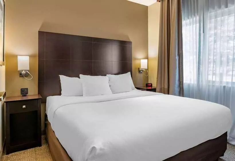 ホテル Comfort Inn & Suites