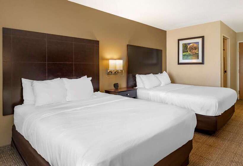 酒店 Comfort Inn & Suites