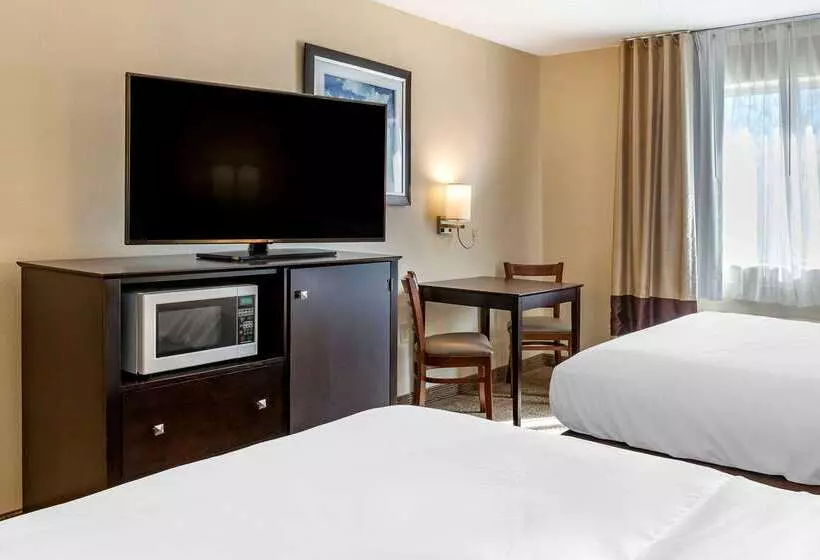 ホテル Comfort Inn & Suites