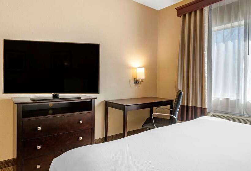 酒店 Comfort Inn & Suites