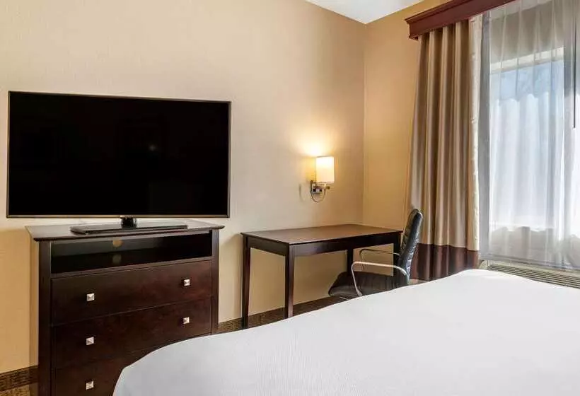 ホテル Comfort Inn & Suites