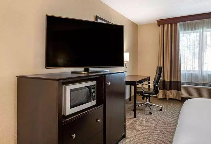 ホテル Comfort Inn & Suites